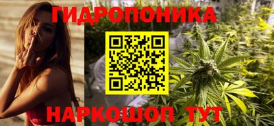 прущие крисы Можга